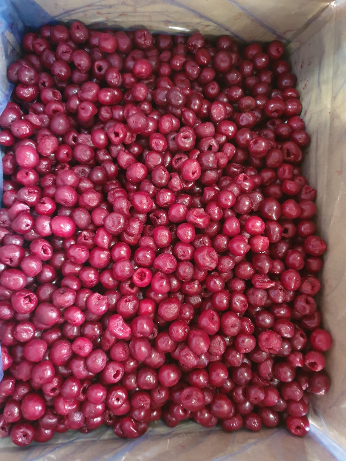 frozeta-for-export-frozen-cherry